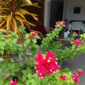 Le Tropical 1 Ou 2 Appartement